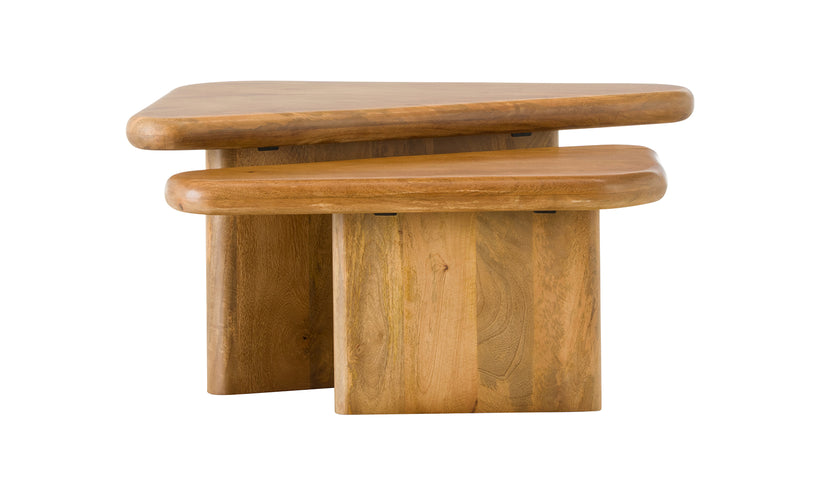 Sansa Coffee Table (Set of 2)